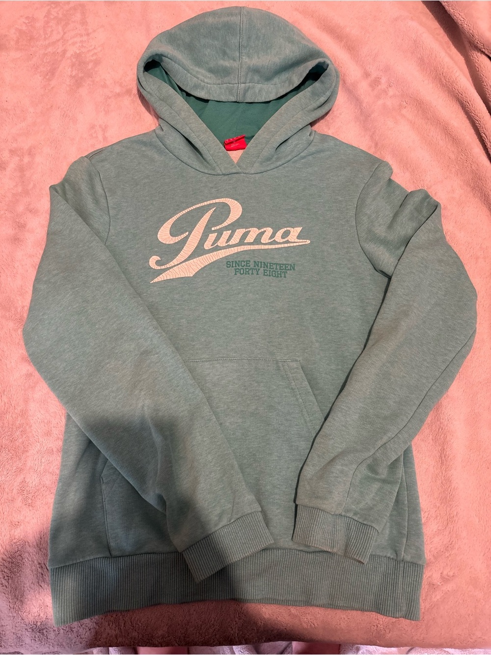 Puma Men's or Women’s Sage Green Crewneck Hoodie with Logo